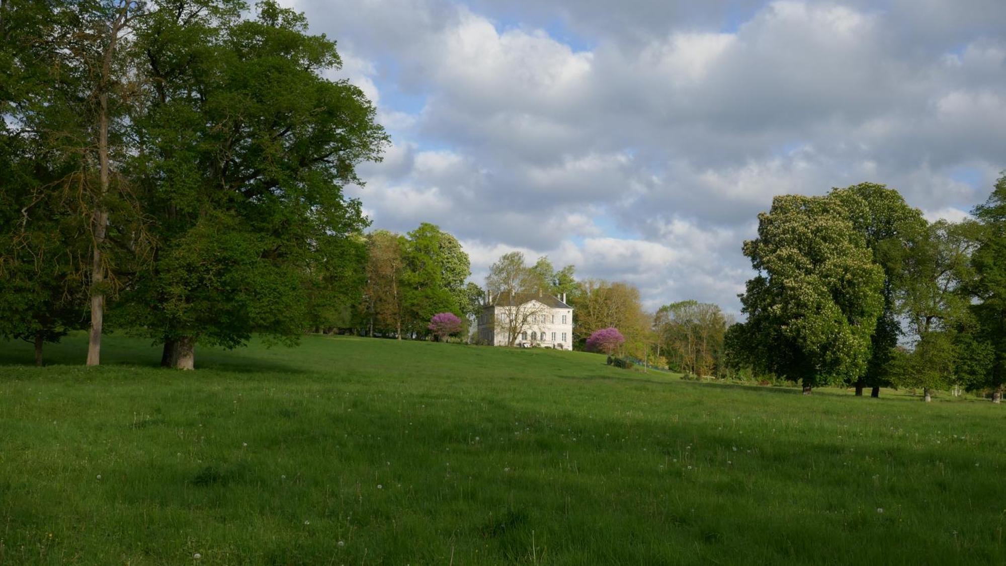 B&B Chateau De Preuil Vallenay Экстерьер фото