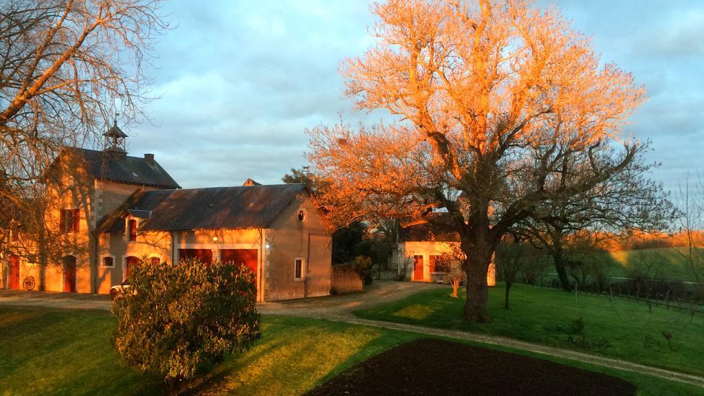 B&B Chateau De Preuil Vallenay Экстерьер фото