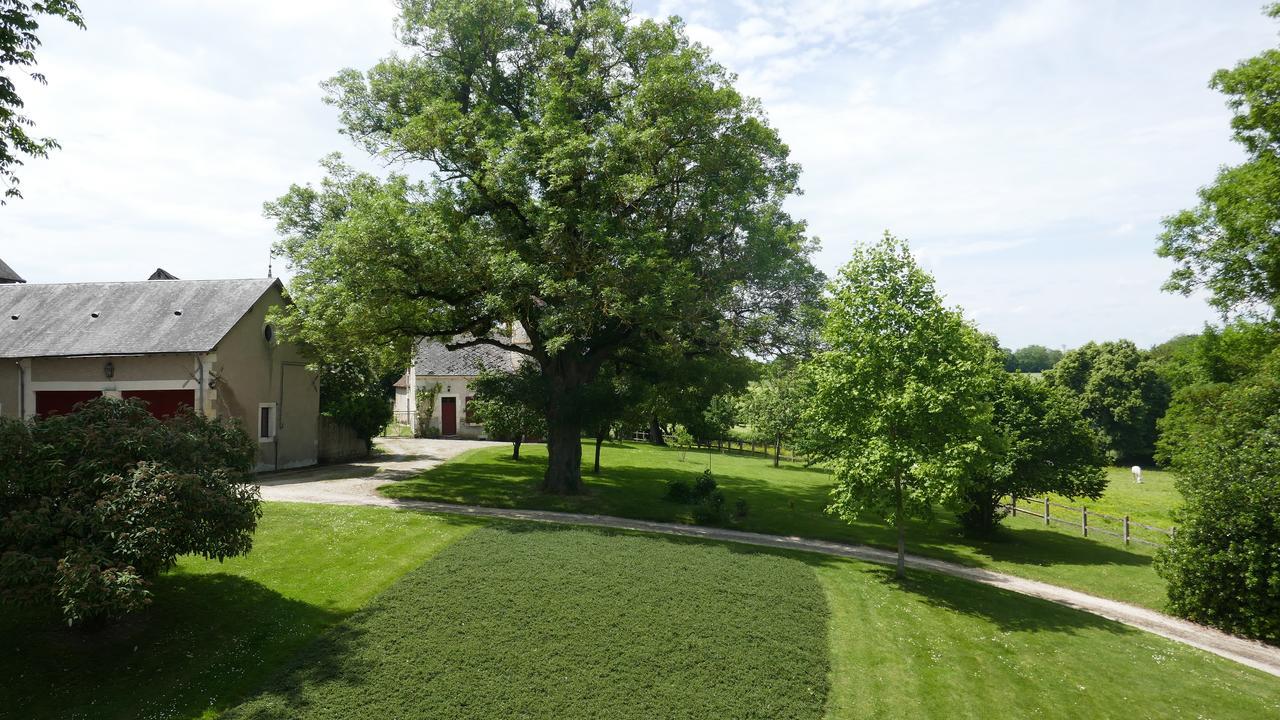 B&B Chateau De Preuil Vallenay Экстерьер фото